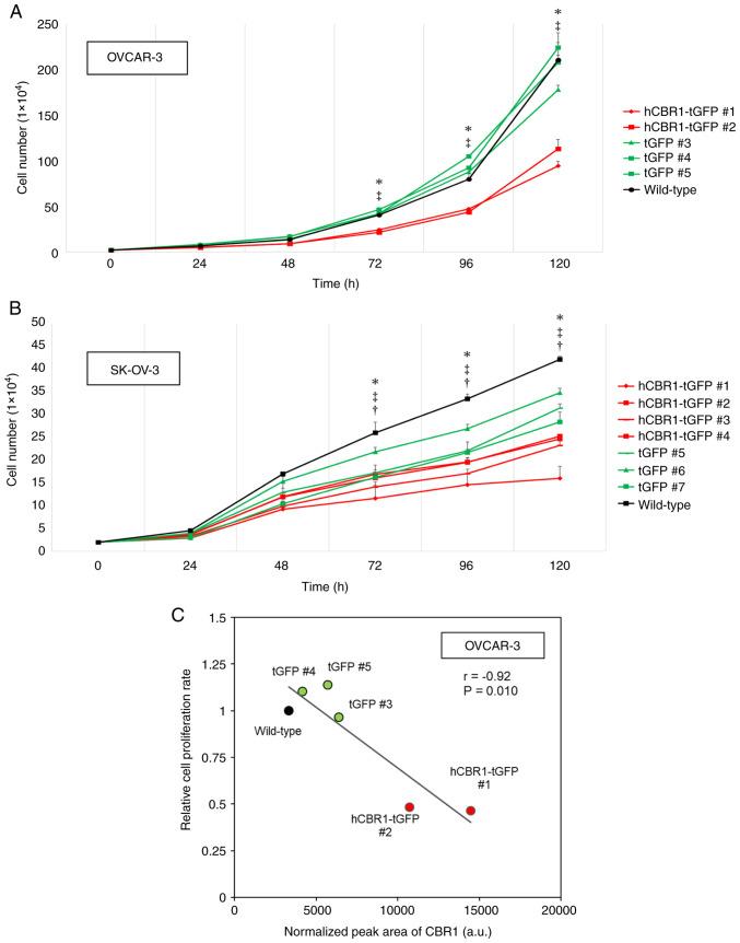 https://cdn.ncbi.nlm.nih.gov/pmc/blobs/8916/11177172/2039149c035b/ol-28-02-14492-g03.jpg