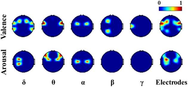 https://cdn.ncbi.nlm.nih.gov/pmc/blobs/8916/4013455/f1a87c2c0258/fnins-08-00094-g0006.jpg