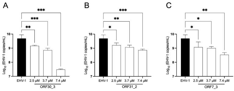 https://cdn.ncbi.nlm.nih.gov/pmc/blobs/8917/10975850/1f82794cf5d4/viruses-16-00409-g005.jpg