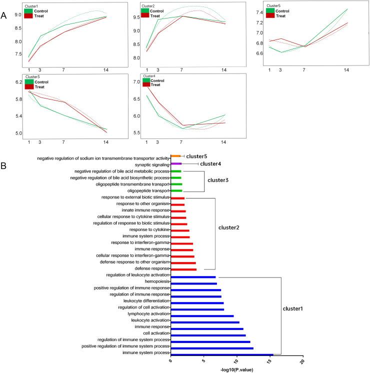 https://cdn.ncbi.nlm.nih.gov/pmc/blobs/8917/11782854/21dd5b99145f/gr6.jpg