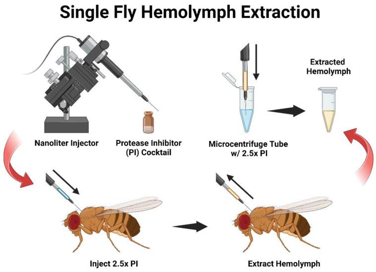 https://cdn.ncbi.nlm.nih.gov/pmc/blobs/8919/10609455/bf298b9690ab/mps-06-00100-g001.jpg