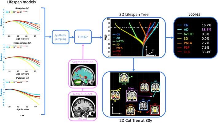 https://cdn.ncbi.nlm.nih.gov/pmc/blobs/8919/12400355/bec996a9d5fc/HBM-46-e70336-g003.jpg