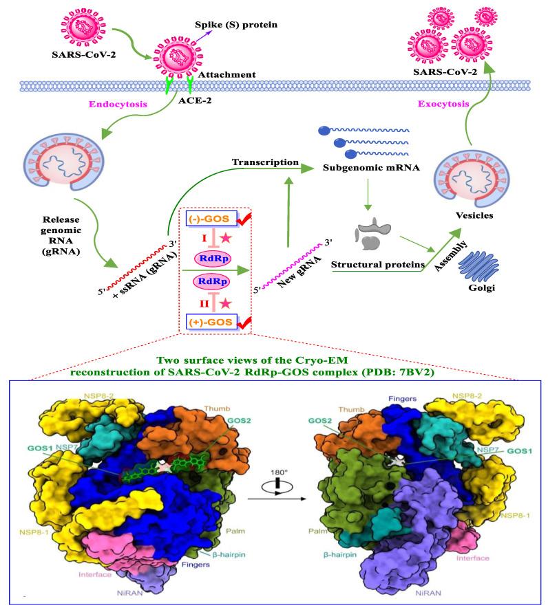 https://cdn.ncbi.nlm.nih.gov/pmc/blobs/891a/10535599/e72fa0c9d4fd/nutrients-15-03885-g006.jpg