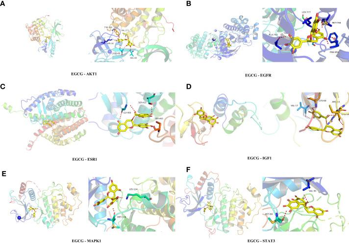 https://cdn.ncbi.nlm.nih.gov/pmc/blobs/891c/10272822/5bb086a5066e/fendo-14-1159657-g006.jpg