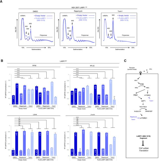https://cdn.ncbi.nlm.nih.gov/pmc/blobs/891c/8034618/963a7ade512b/gkaa1239fig2.jpg