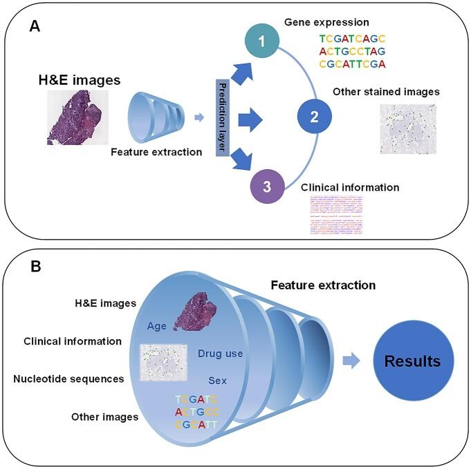 https://cdn.ncbi.nlm.nih.gov/pmc/blobs/891c/9677480/b6e01068679e/bbac367f3.jpg