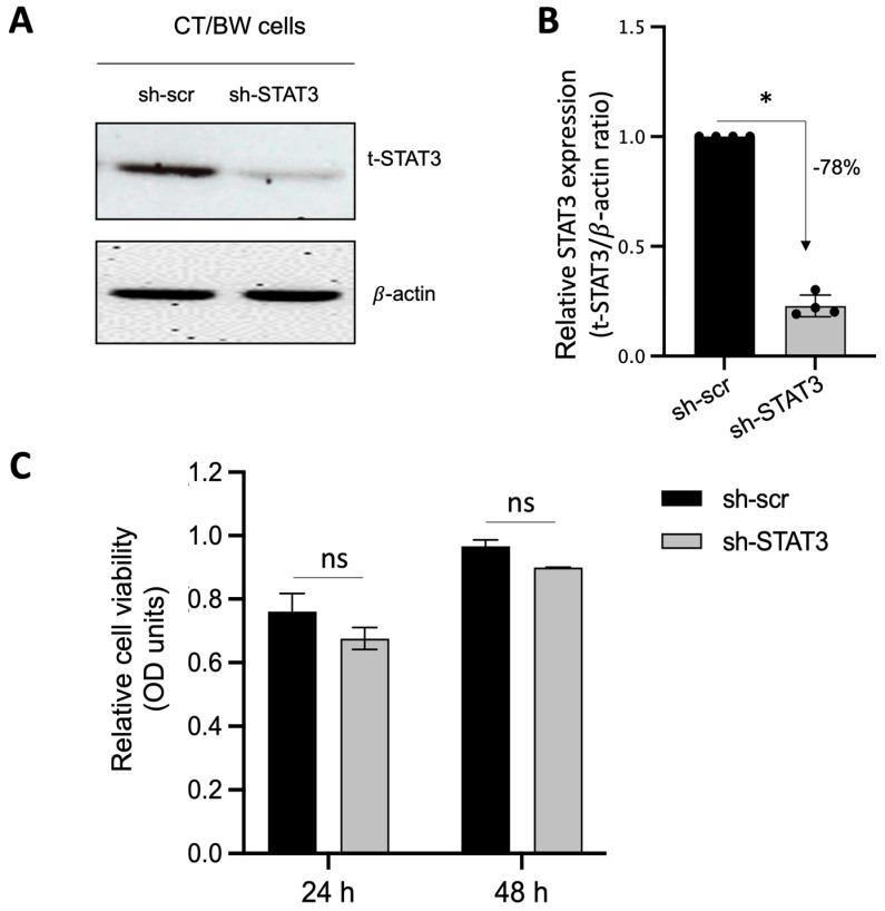 https://cdn.ncbi.nlm.nih.gov/pmc/blobs/8920/10854549/a1b6b2e3c1cc/cells-13-00229-g004.jpg