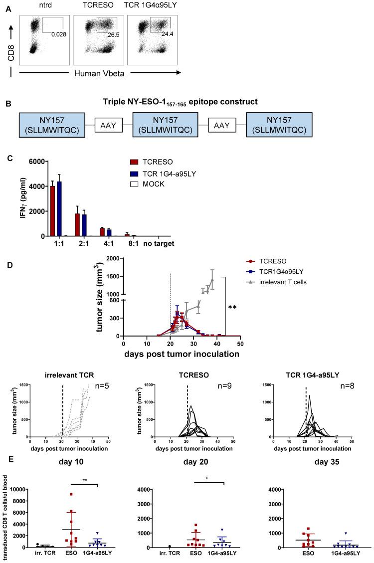 https://cdn.ncbi.nlm.nih.gov/pmc/blobs/8921/11703889/3b4da22ef965/fimmu-15-1524629-g003.jpg