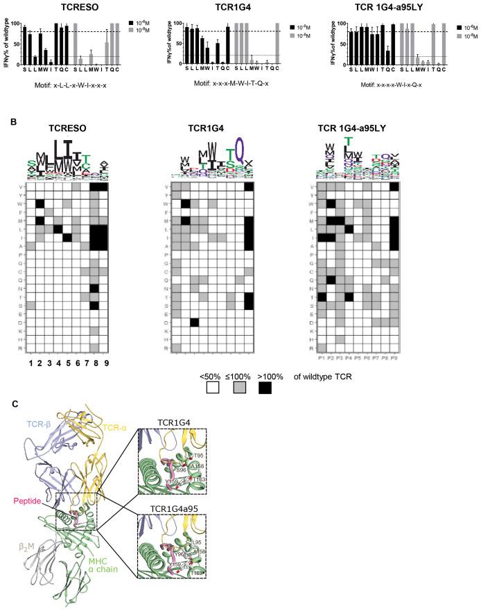 https://cdn.ncbi.nlm.nih.gov/pmc/blobs/8921/11703889/904e3a47bd16/fimmu-15-1524629-g004.jpg