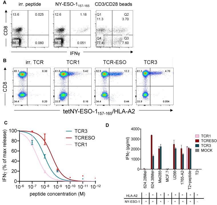 https://cdn.ncbi.nlm.nih.gov/pmc/blobs/8921/11703889/a50e21b57aab/fimmu-15-1524629-g001.jpg