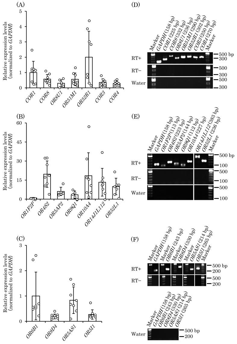 https://cdn.ncbi.nlm.nih.gov/pmc/blobs/8922/12266935/17cdc3d0c19b/jpsa-62-2025019-g001.jpg
