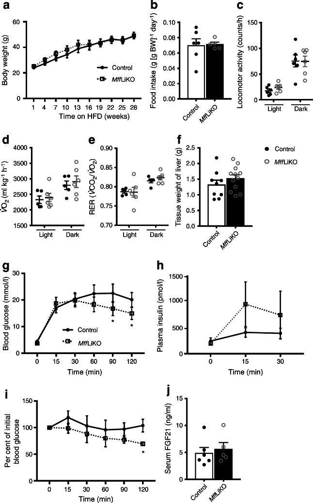 https://cdn.ncbi.nlm.nih.gov/pmc/blobs/8924/8382662/72359edc7756/125_2021_5488_Fig5_HTML.jpg