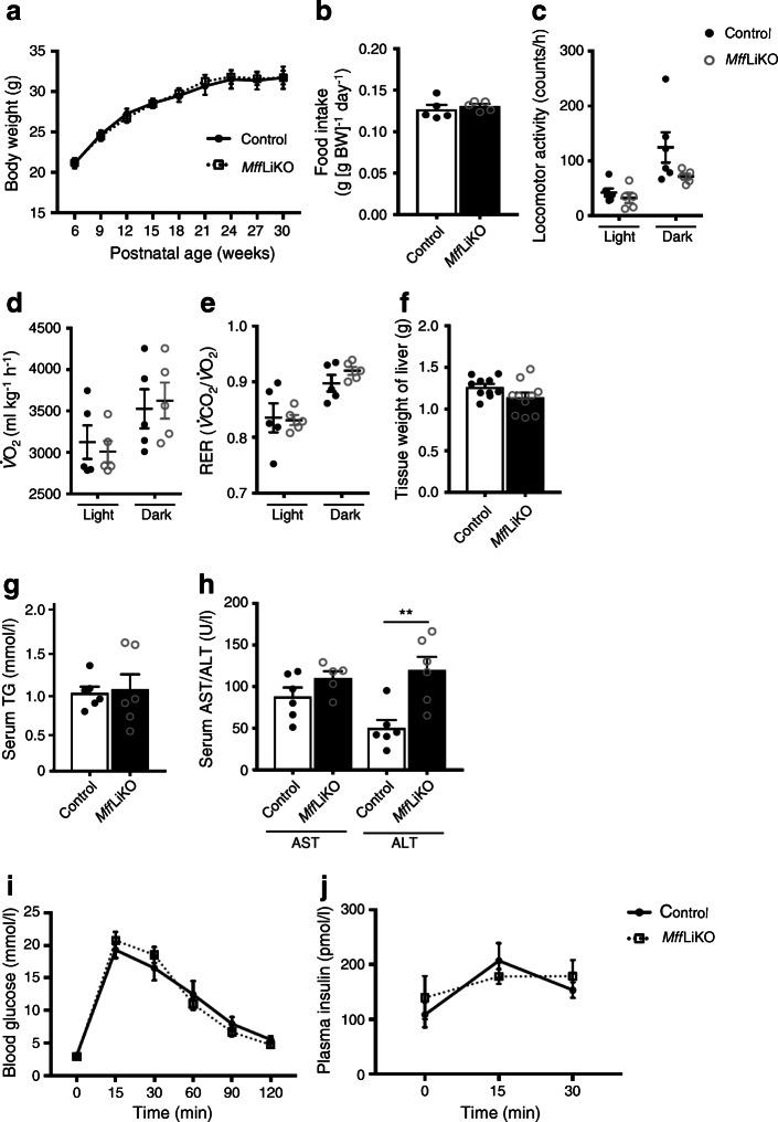 https://cdn.ncbi.nlm.nih.gov/pmc/blobs/8924/8382662/d7fadb7e07b6/125_2021_5488_Fig3_HTML.jpg