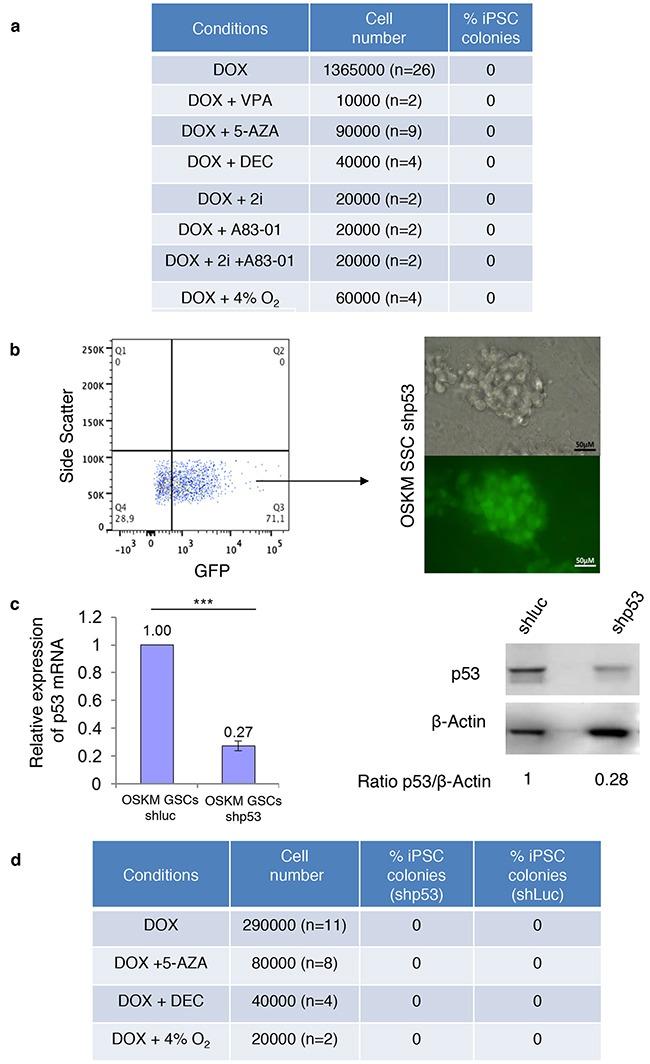 https://cdn.ncbi.nlm.nih.gov/pmc/blobs/8926/5354640/0d108e1997ba/oncotarget-08-10050-g005.jpg