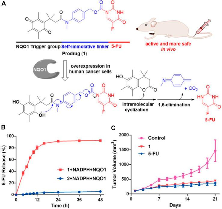 https://cdn.ncbi.nlm.nih.gov/pmc/blobs/8927/11322083/2988d90af9cd/fphar-15-1434137-g005.jpg