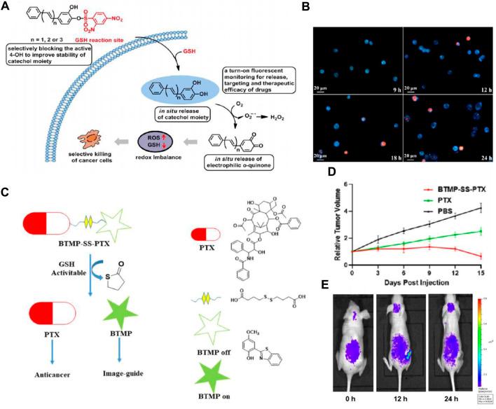 https://cdn.ncbi.nlm.nih.gov/pmc/blobs/8927/11322083/54c91f8fbb61/fphar-15-1434137-g006.jpg