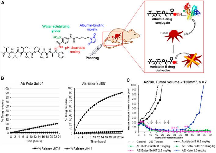 https://cdn.ncbi.nlm.nih.gov/pmc/blobs/8927/11322083/d09f6e615518/fphar-15-1434137-g010.jpg