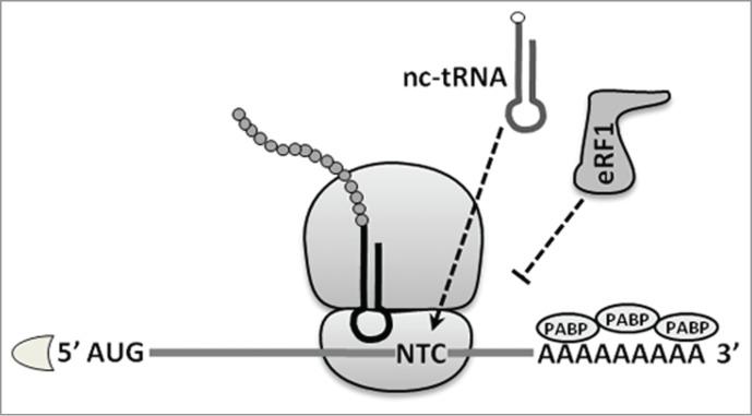 https://cdn.ncbi.nlm.nih.gov/pmc/blobs/8927/4615788/5b7282e88e5c/krnb-12-09-1068497-g002.jpg