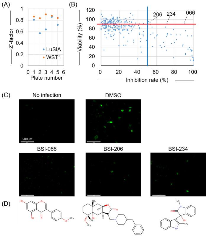 https://cdn.ncbi.nlm.nih.gov/pmc/blobs/8927/9861517/69ed3fcebfff/viruses-15-00004-g002.jpg