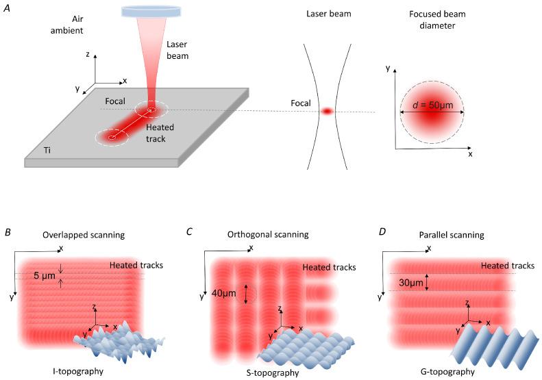 https://cdn.ncbi.nlm.nih.gov/pmc/blobs/8929/9737095/561f57d027b4/nanomaterials-12-04229-g002.jpg