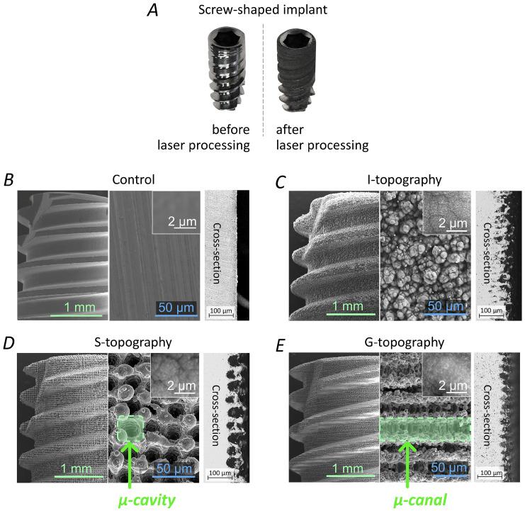 https://cdn.ncbi.nlm.nih.gov/pmc/blobs/8929/9737095/80de3ea82967/nanomaterials-12-04229-g004.jpg
