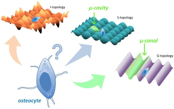 https://cdn.ncbi.nlm.nih.gov/pmc/blobs/8929/9737095/b8922bc01710/nanomaterials-12-04229-g001.jpg