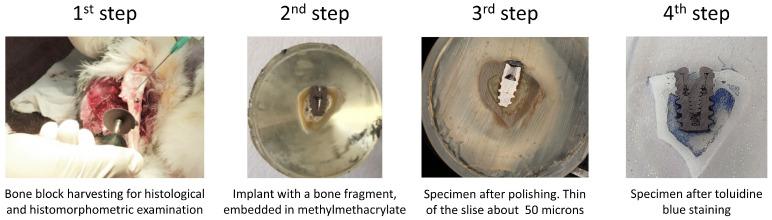 https://cdn.ncbi.nlm.nih.gov/pmc/blobs/8929/9737095/f3a676062124/nanomaterials-12-04229-g003.jpg