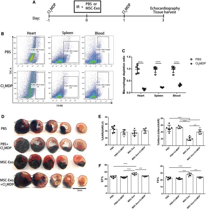 https://cdn.ncbi.nlm.nih.gov/pmc/blobs/892c/6529919/238923a43e7f/cvz040f2.jpg