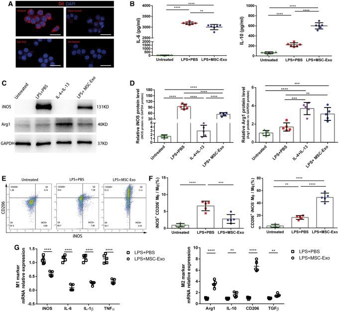https://cdn.ncbi.nlm.nih.gov/pmc/blobs/892c/6529919/5c81c534521b/cvz040f4.jpg