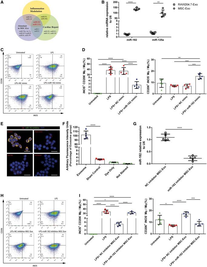 https://cdn.ncbi.nlm.nih.gov/pmc/blobs/892c/6529919/fea246830b1f/cvz040f5.jpg