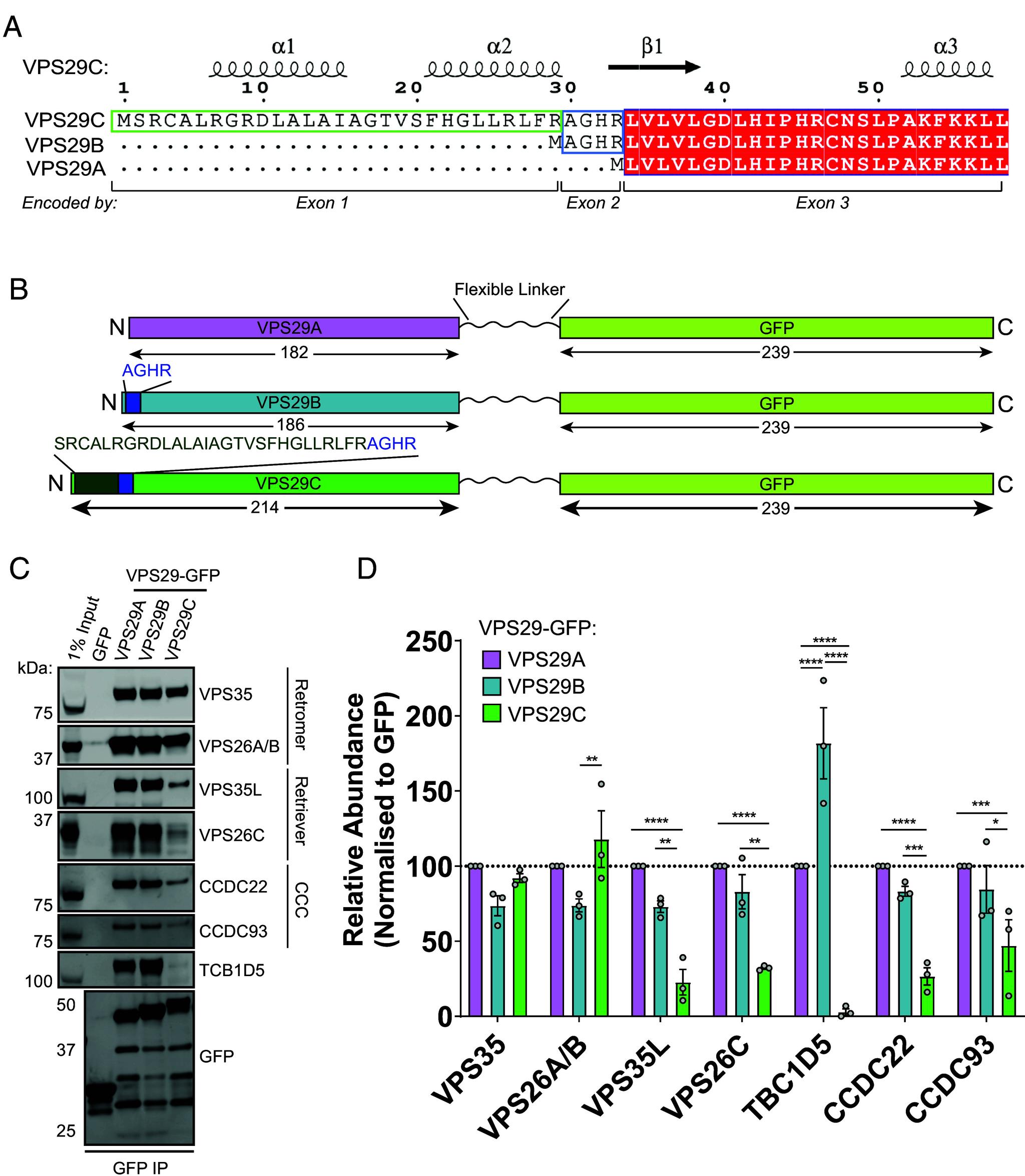 https://cdn.ncbi.nlm.nih.gov/pmc/blobs/892d/12260524/8d08b16891bb/pnas.2501111122fig01.jpg