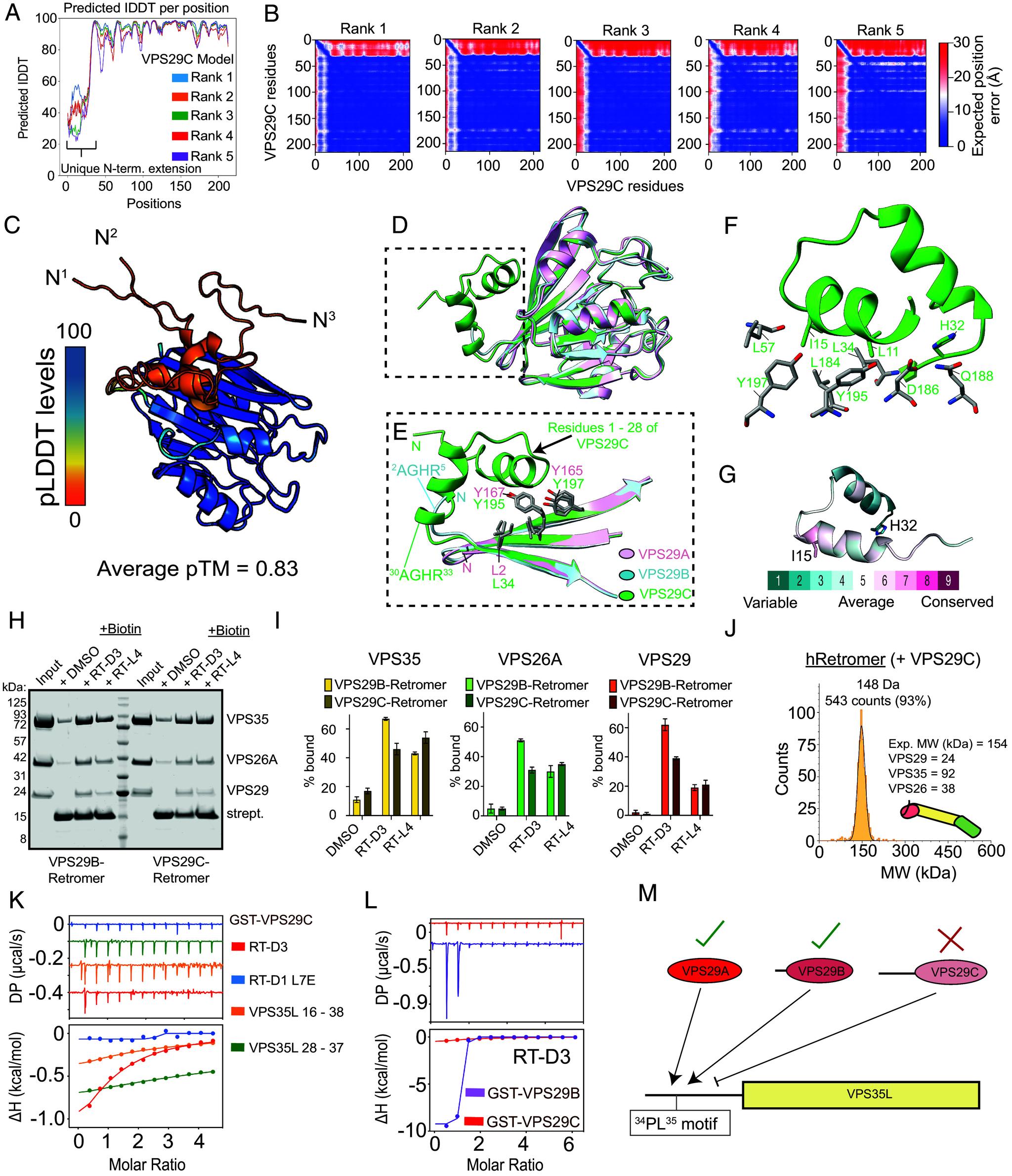 https://cdn.ncbi.nlm.nih.gov/pmc/blobs/892d/12260524/d3eaf4f91bc9/pnas.2501111122fig03.jpg