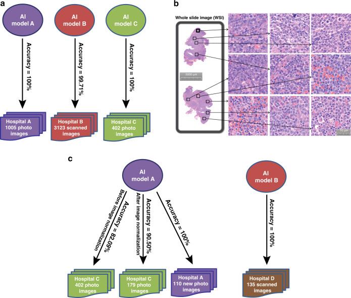 https://cdn.ncbi.nlm.nih.gov/pmc/blobs/892d/7691991/5c84f5266d0b/41467_2020_19817_Fig3_HTML.jpg