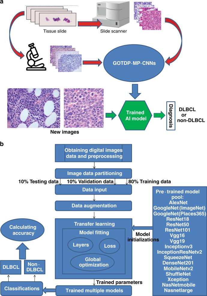 https://cdn.ncbi.nlm.nih.gov/pmc/blobs/892d/7691991/b257f63a466d/41467_2020_19817_Fig1_HTML.jpg