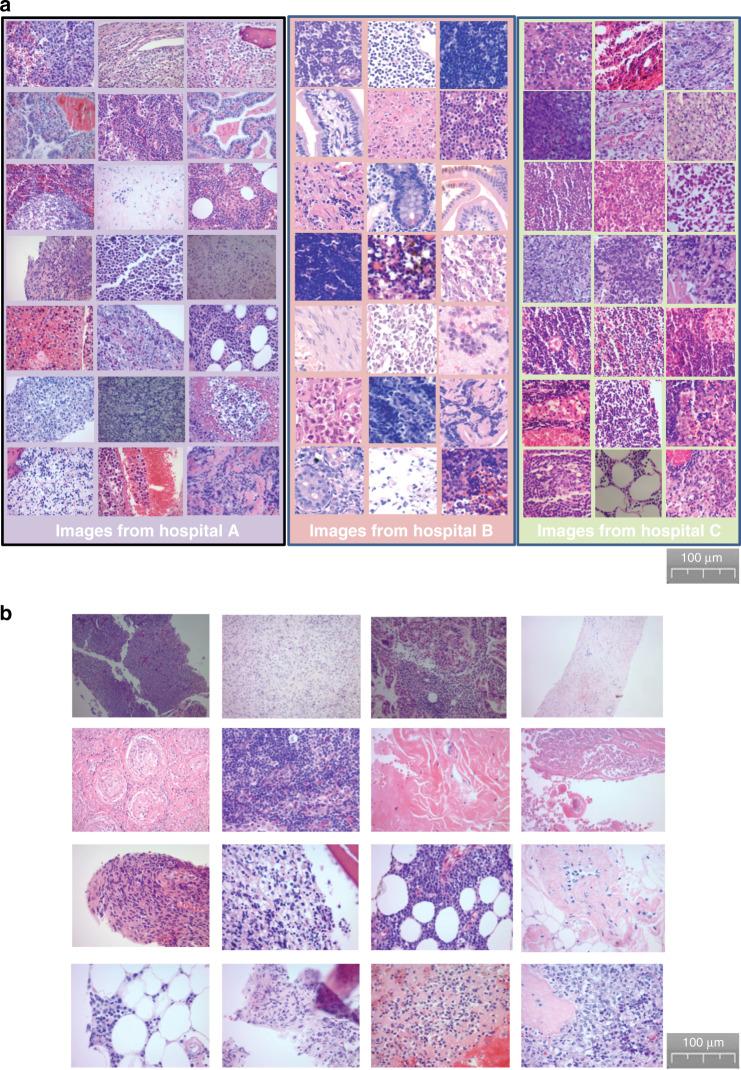 https://cdn.ncbi.nlm.nih.gov/pmc/blobs/892d/7691991/f651d1f194d1/41467_2020_19817_Fig2_HTML.jpg