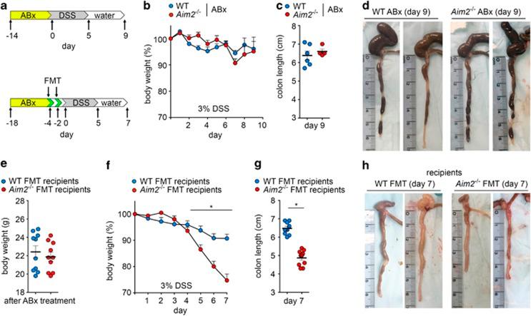 https://cdn.ncbi.nlm.nih.gov/pmc/blobs/892e/5214942/1b3770fdeef4/cmi201635f3.jpg