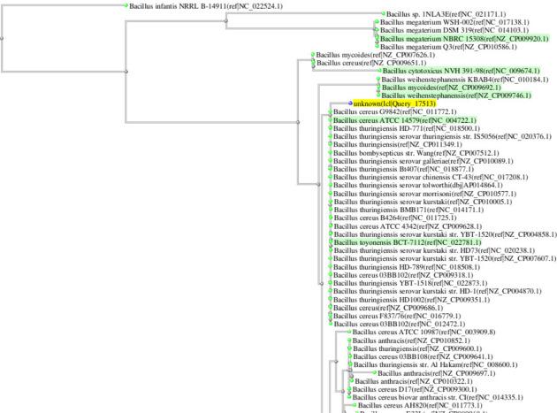 https://cdn.ncbi.nlm.nih.gov/pmc/blobs/892e/8121937/2c3f8242cf79/41598_2021_88264_Fig1_HTML.jpg