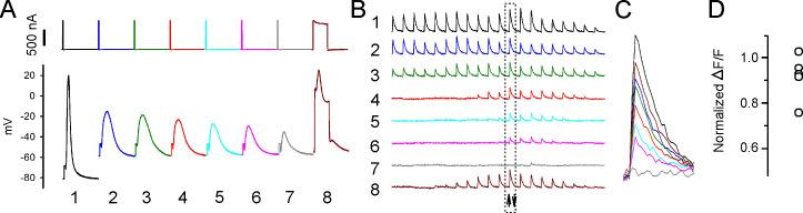 https://cdn.ncbi.nlm.nih.gov/pmc/blobs/892e/8730720/cb5a43e04568/elife-71588-fig6.jpg