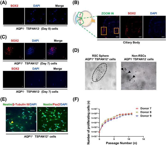 https://cdn.ncbi.nlm.nih.gov/pmc/blobs/892f/9790047/62c4bdb73ae0/MCO2-4-e198-g001.jpg