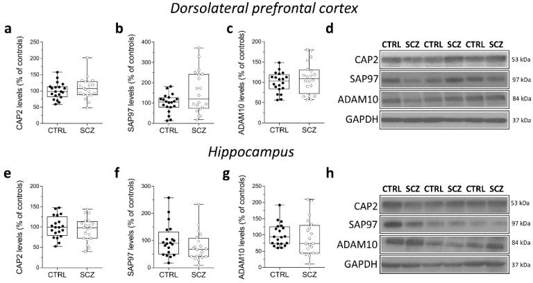 https://cdn.ncbi.nlm.nih.gov/pmc/blobs/8930/8835961/b8ca40a43f8f/ijms-23-01539-g005.jpg