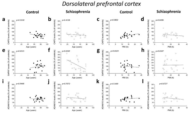 https://cdn.ncbi.nlm.nih.gov/pmc/blobs/8930/8835961/cee2508f6b9c/ijms-23-01539-g004a.jpg