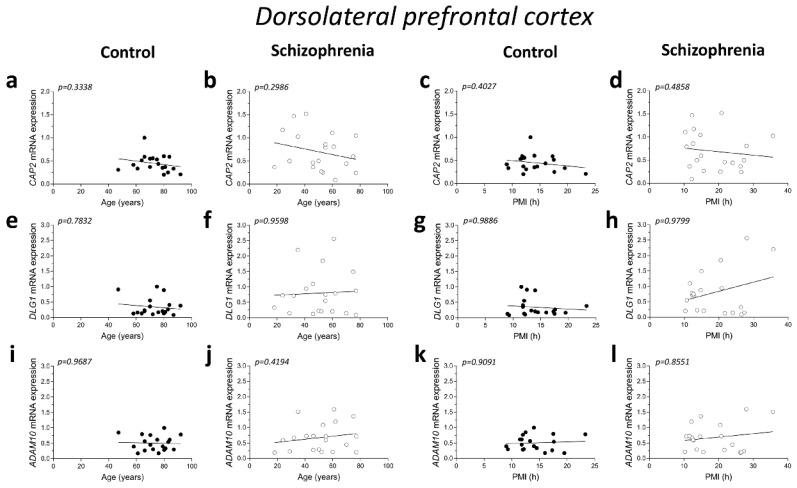 https://cdn.ncbi.nlm.nih.gov/pmc/blobs/8930/8835961/e615dcf5ccf6/ijms-23-01539-g002a.jpg