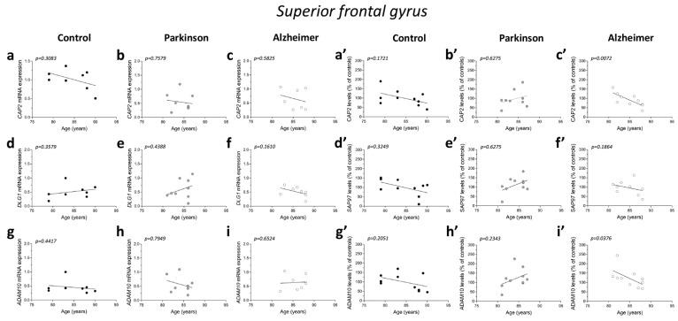 https://cdn.ncbi.nlm.nih.gov/pmc/blobs/8930/8835961/eba8c8cdc787/ijms-23-01539-g006a.jpg