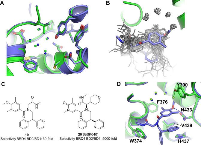 https://cdn.ncbi.nlm.nih.gov/pmc/blobs/8932/10823476/07b34d46a20d/jm3c01861_0009.jpg