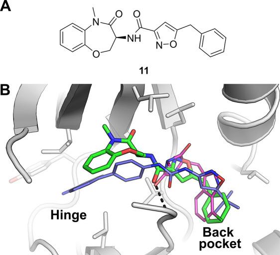 https://cdn.ncbi.nlm.nih.gov/pmc/blobs/8932/10823476/23f07ded1a9d/jm3c01861_0005.jpg