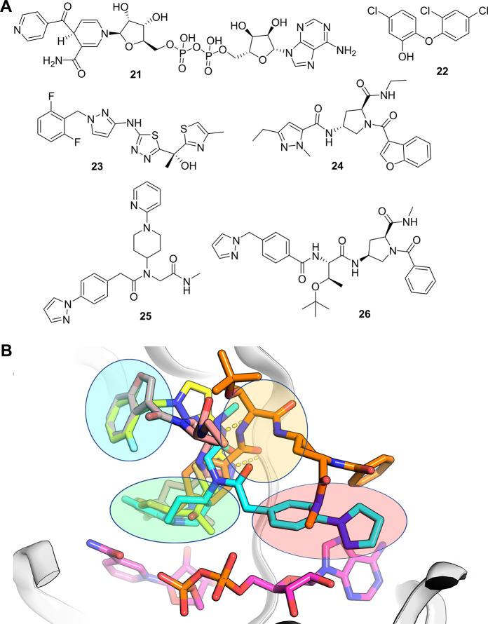 https://cdn.ncbi.nlm.nih.gov/pmc/blobs/8932/10823476/c05840004ec7/jm3c01861_0010.jpg