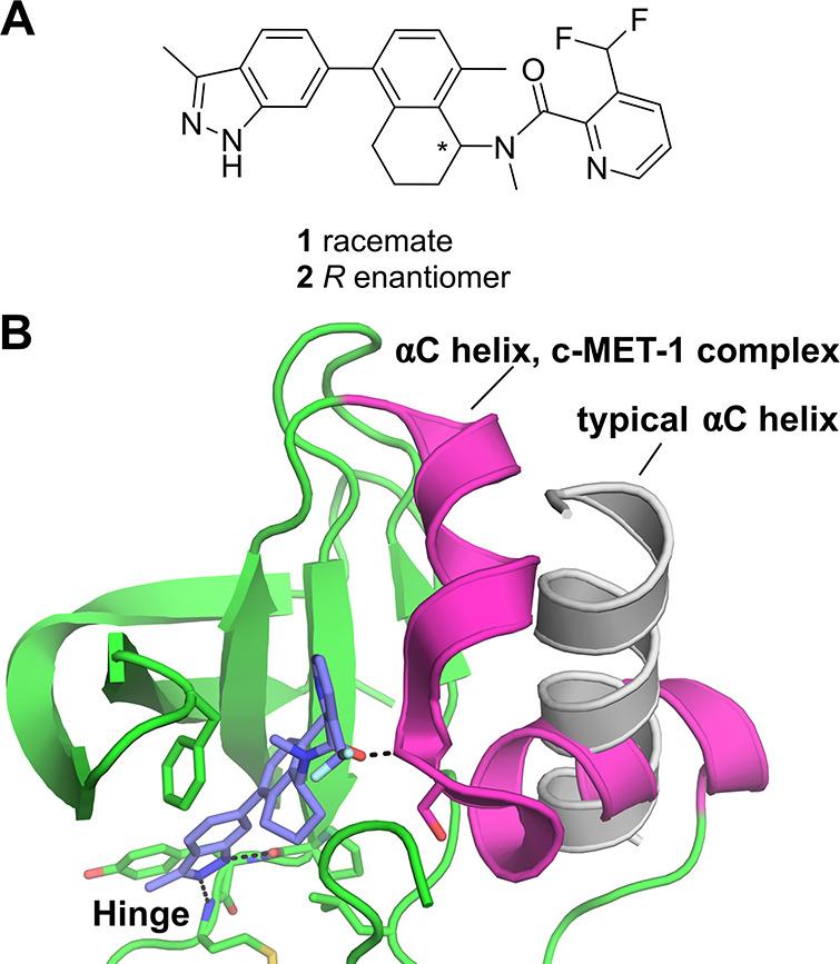 https://cdn.ncbi.nlm.nih.gov/pmc/blobs/8932/10823476/e82b219ea595/jm3c01861_0001.jpg