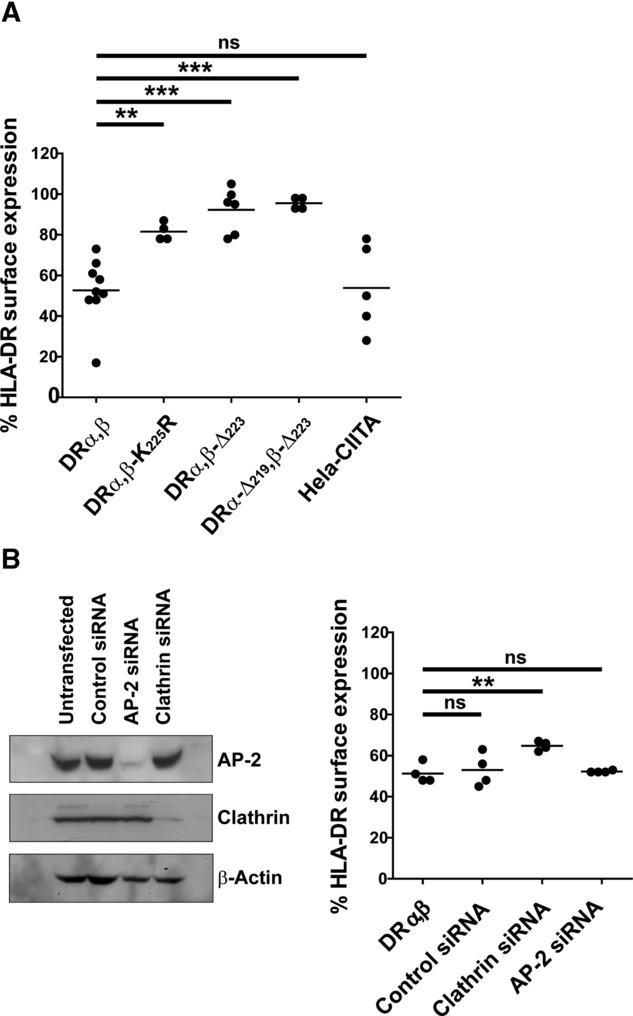 https://cdn.ncbi.nlm.nih.gov/pmc/blobs/8932/3816330/98909ce9b25f/eji0043-0897-f2.jpg