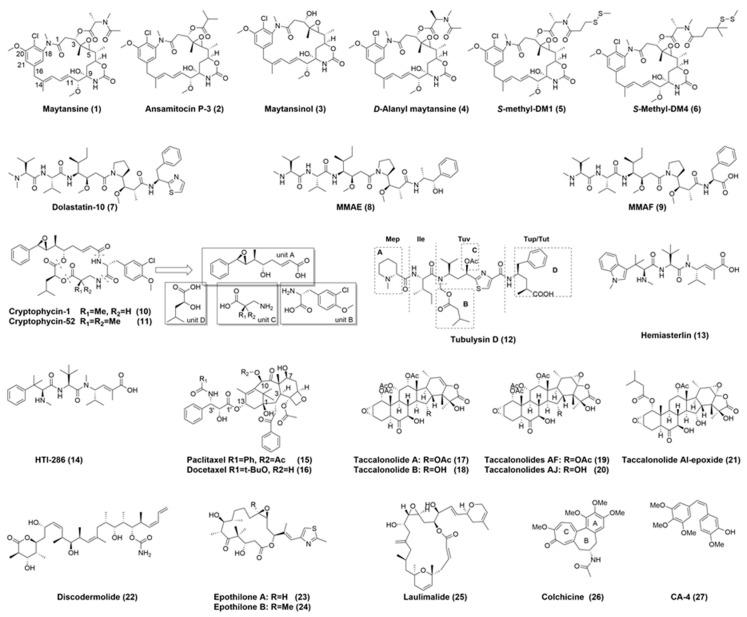 https://cdn.ncbi.nlm.nih.gov/pmc/blobs/8932/6152078/188fa052d393/molecules-22-01281-g005.jpg