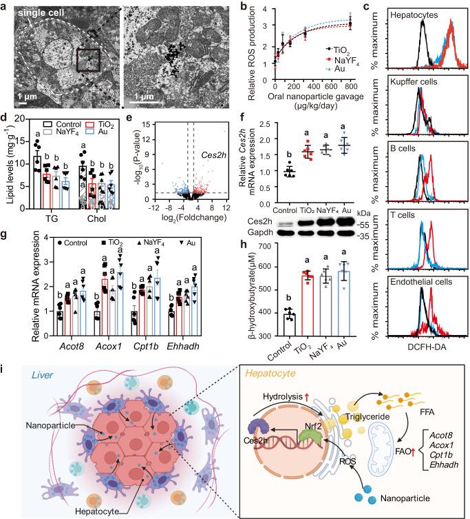https://cdn.ncbi.nlm.nih.gov/pmc/blobs/8934/10281969/6a4b6468cb0c/41467_2023_39423_Fig2_HTML.jpg